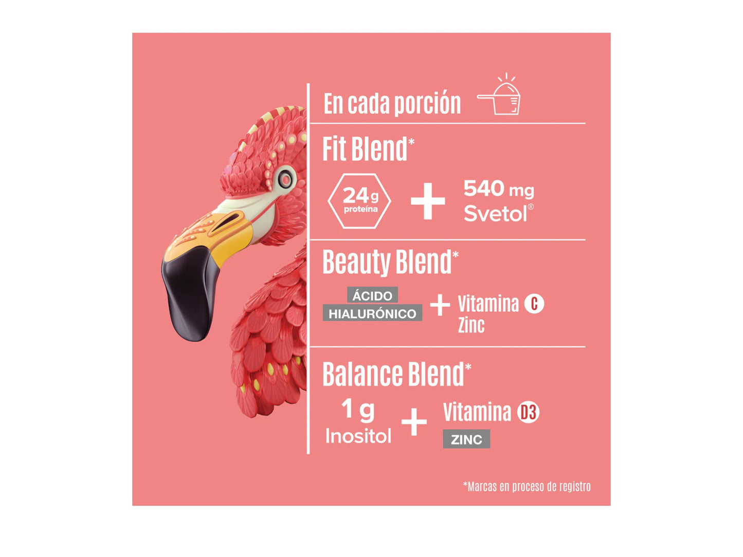 BIRDMAN FITMINGO PROTEINA VEGETAL 1.02KG 30SERV