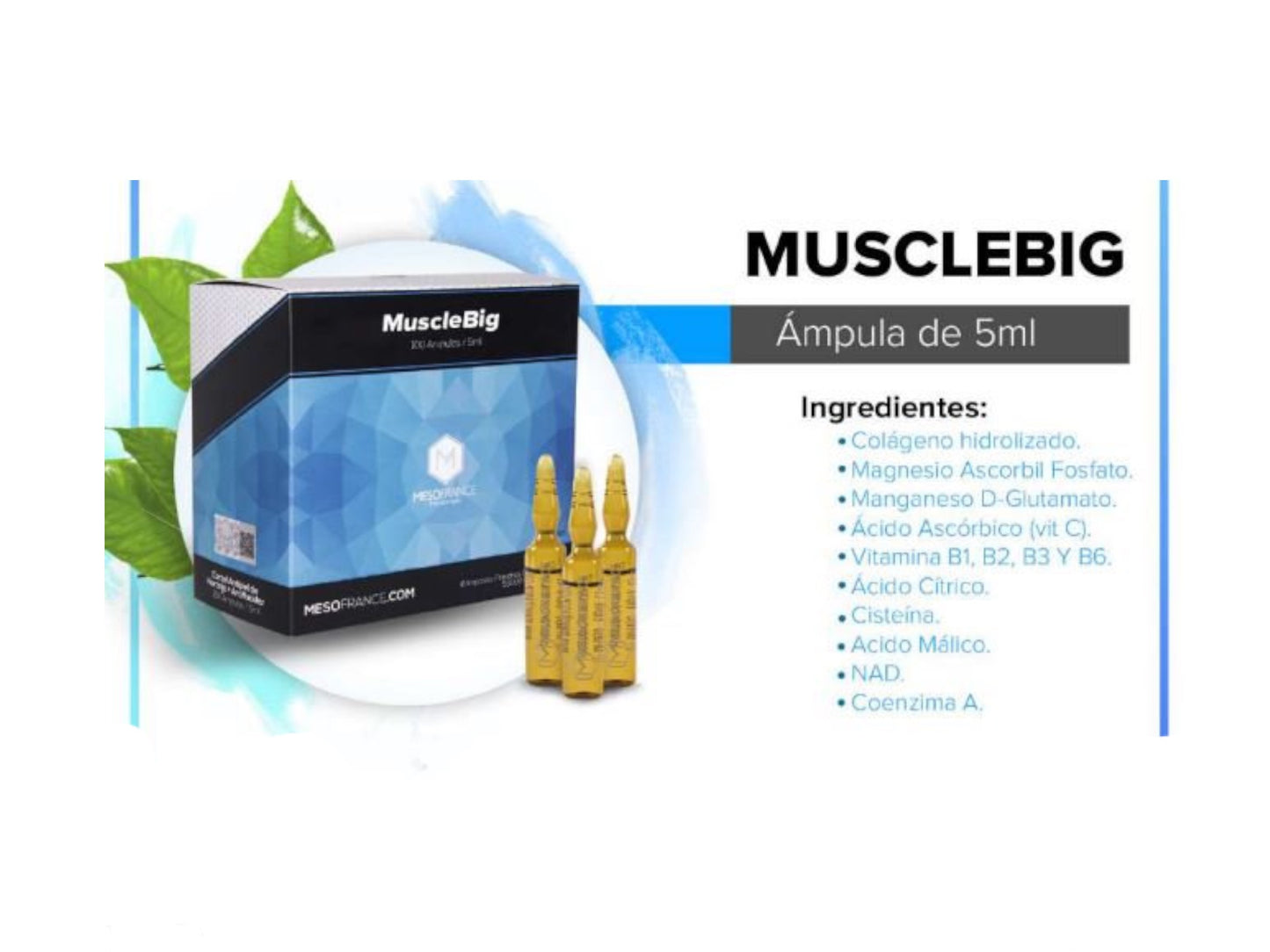 MESOFRANCE MUSCLEBIG REAFIRMANTE BLISTER 10AMP 5ML